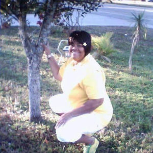 Meet your Posher, Orlendis